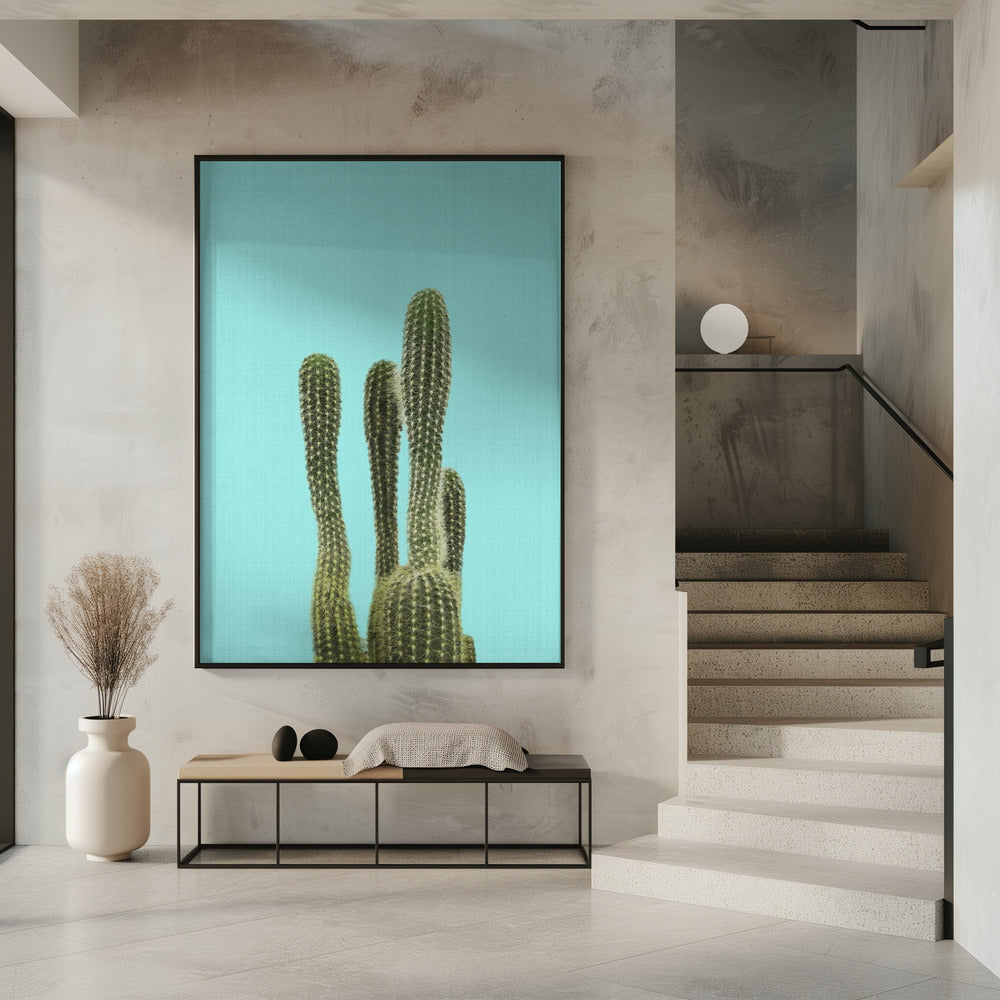 Turkooizen Cactus | Poster