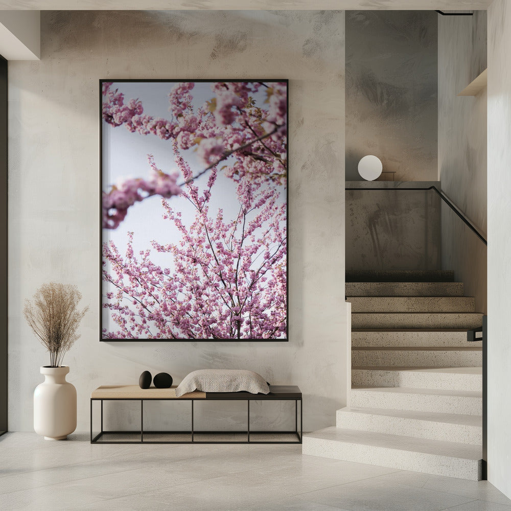 Colorful Spring 11 | Poster