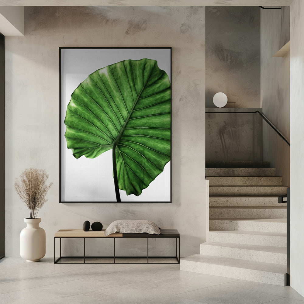 Leaves 11 | Poster