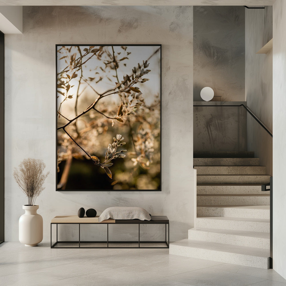 Laatste lente 4 | Poster