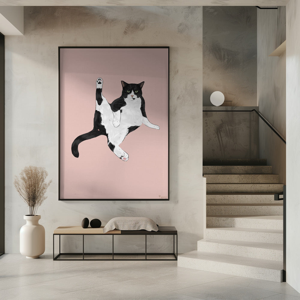 Kat in een grappige pose | Poster