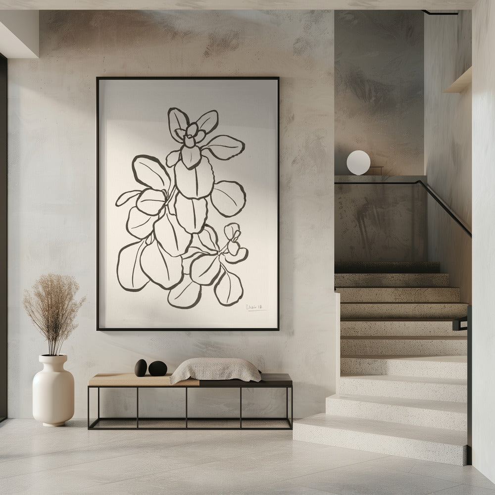 Kalanchoe Plant | Poster
