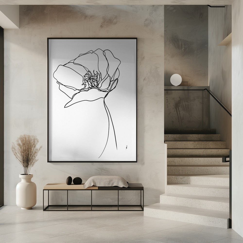 Klaproos op één lijn | Poster