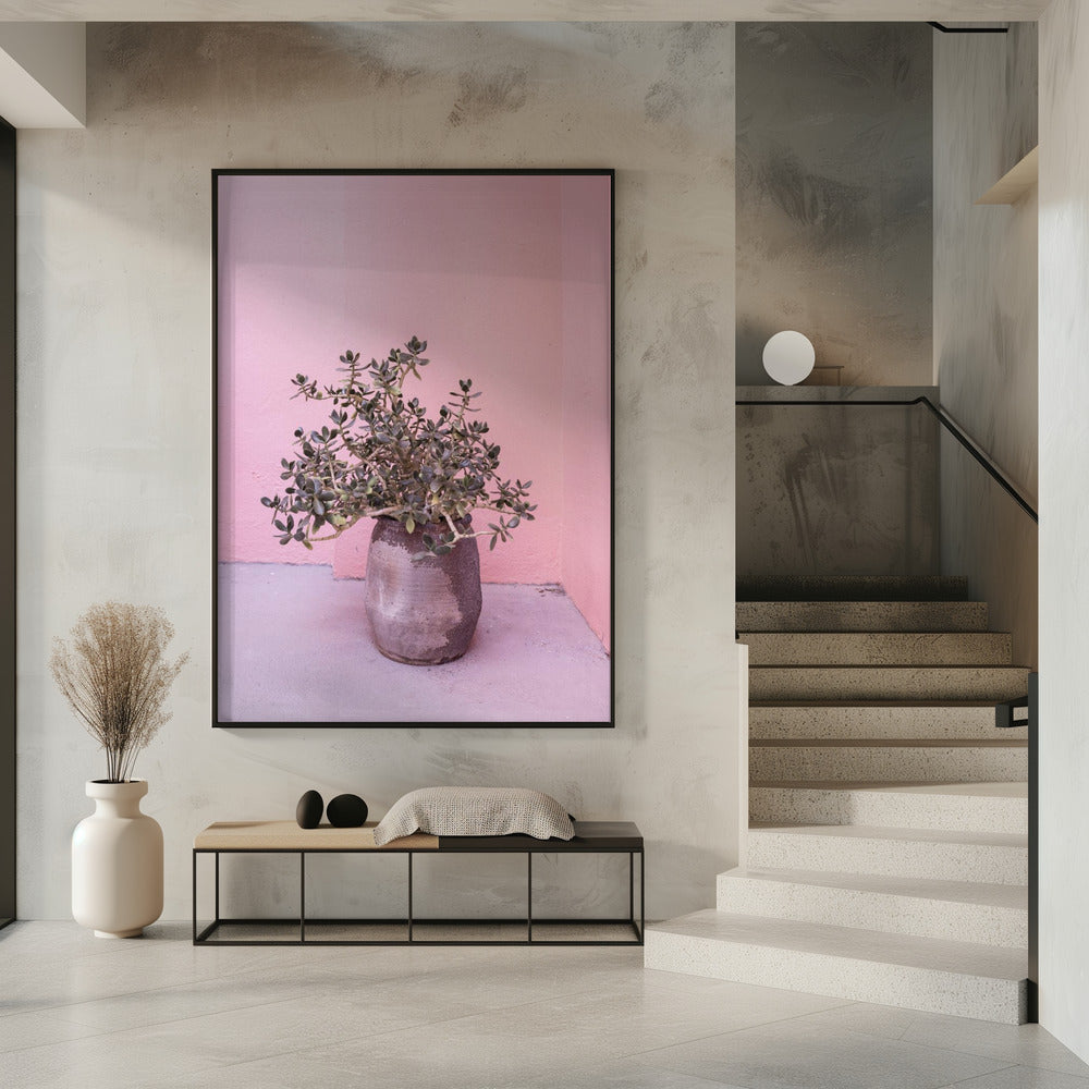 Spaanse rustieke succulent | Poster