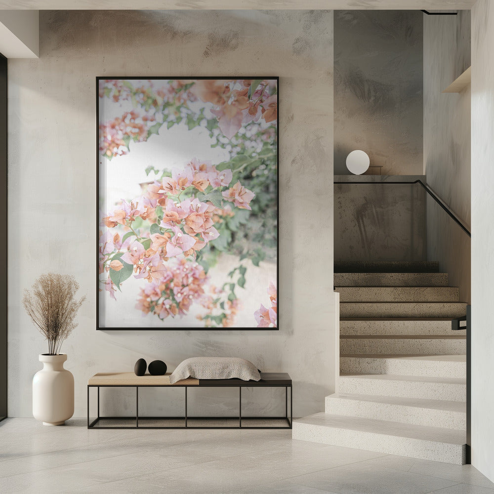 Perzik Bougainvillea | Poster