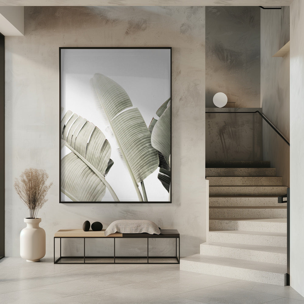 Bananenblad 1 | Poster