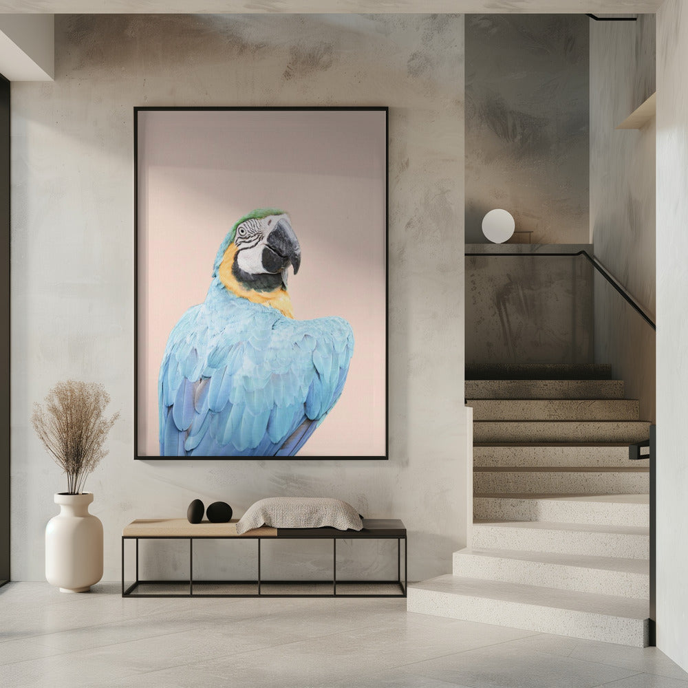 Blauwe Ara | Poster