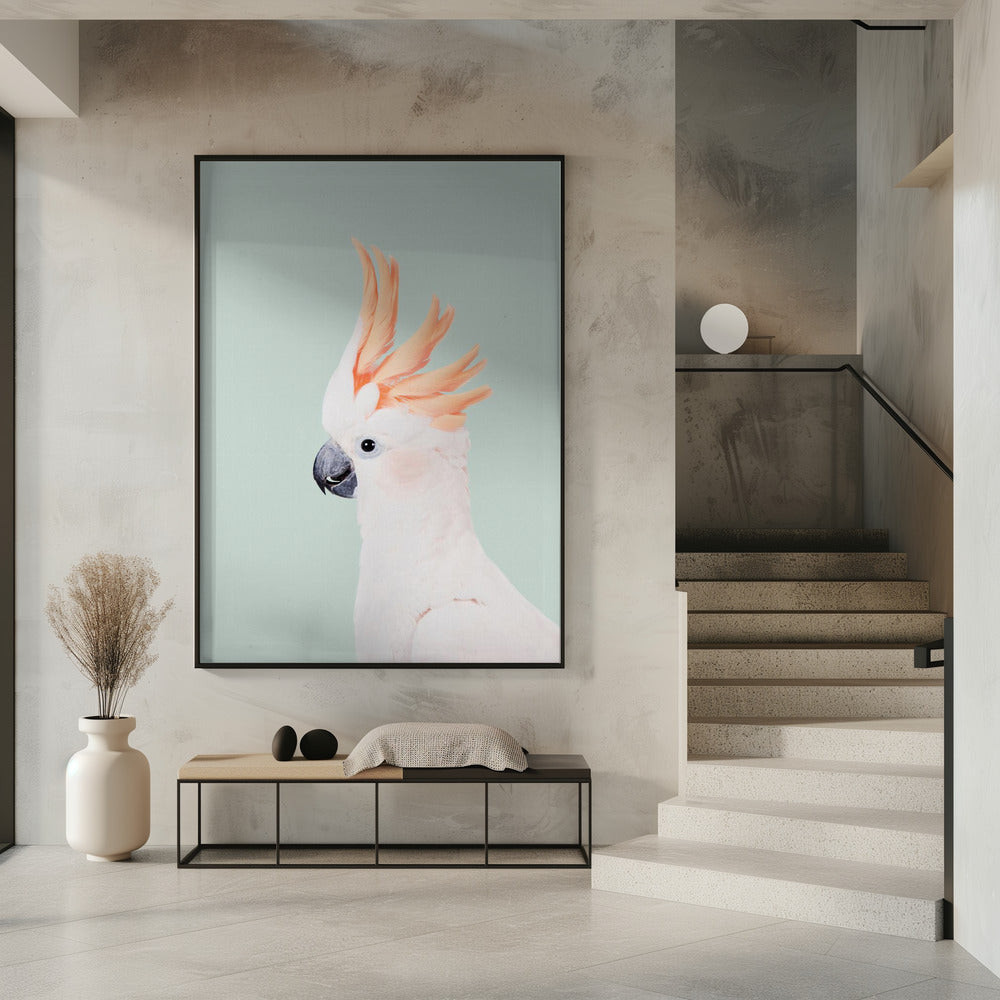 Kaketoe op munt | Poster