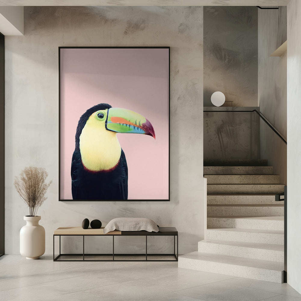 Toekan op roze | Poster