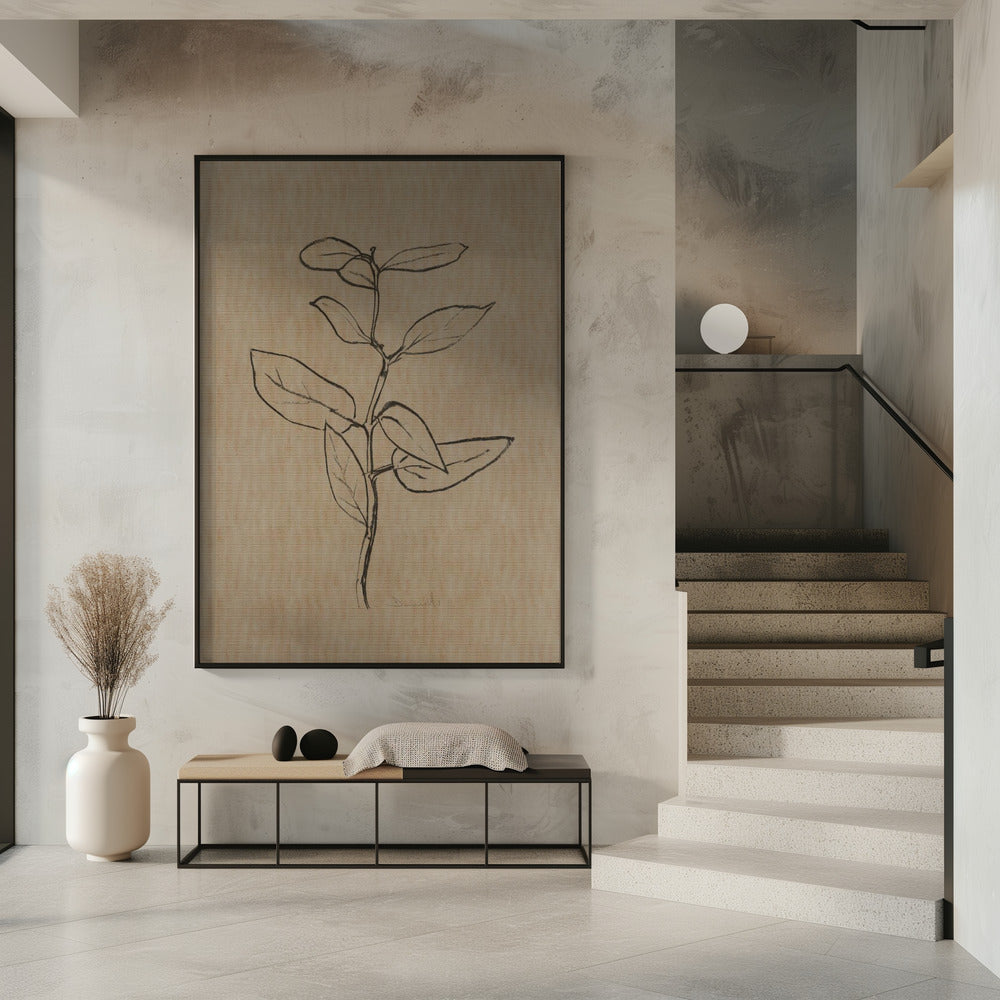Eucalyptus Sapling | Poster