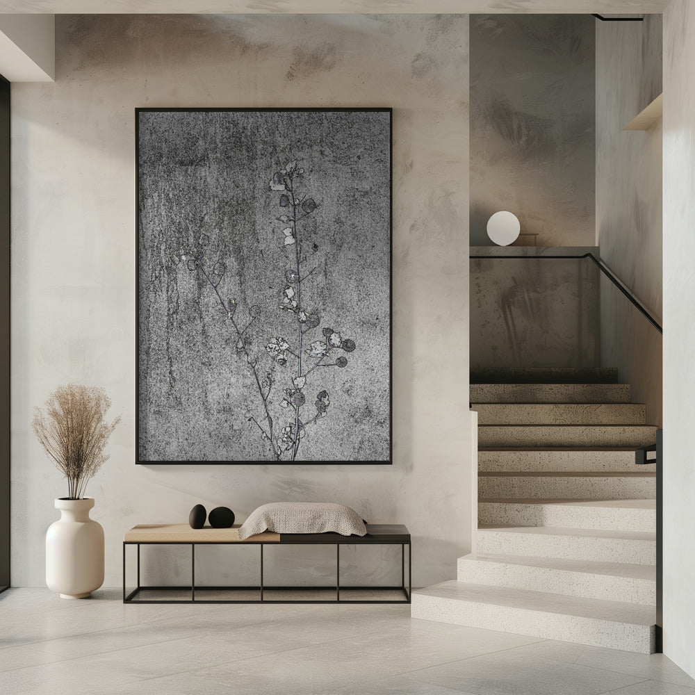Delicate Decay | Poster