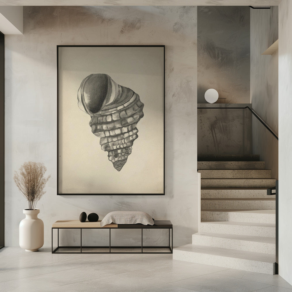Schelpen | Poster