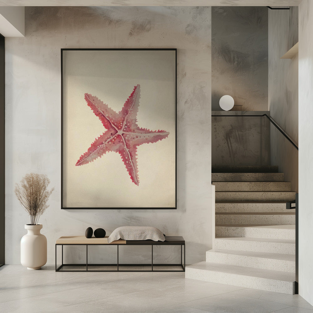Vintage zeester schilderij | Poster