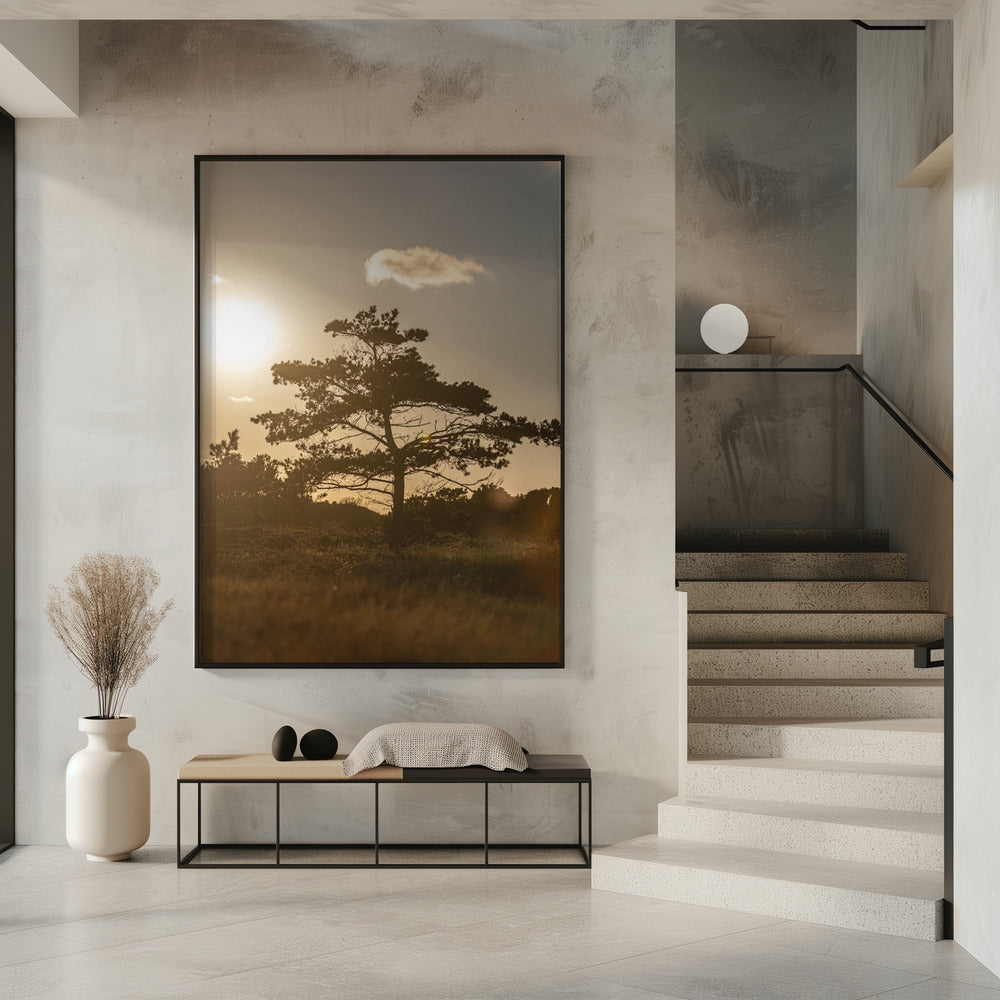 Tree In the Dunes 1 | Poster