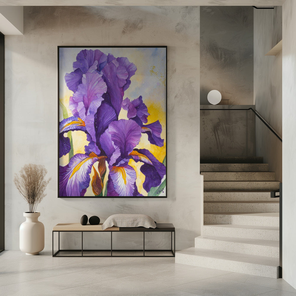 Iris aquarel | poster