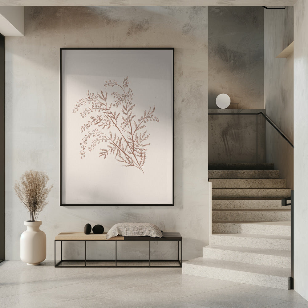 Acacia Botanische Afdeling | Poster
