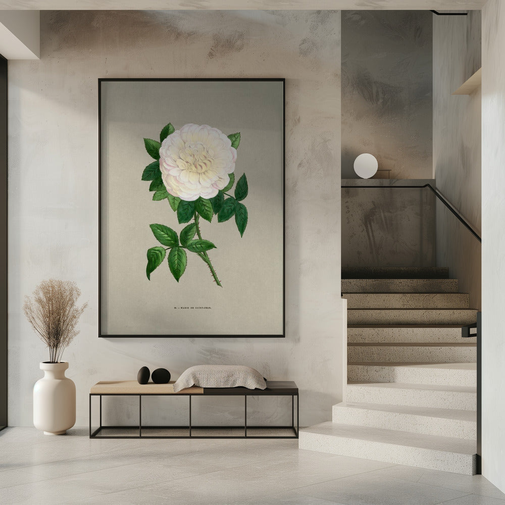 Roos Marie De Saint Jean | Poster