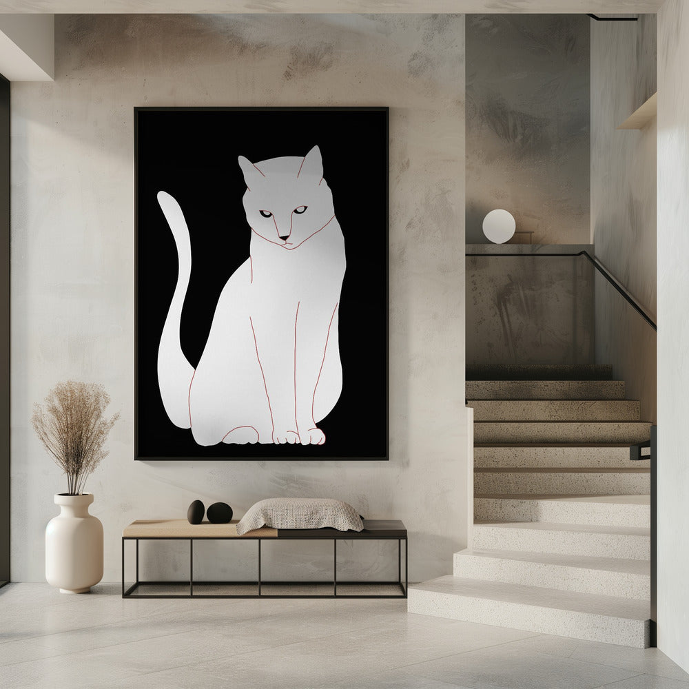 White and black cat | Poster
