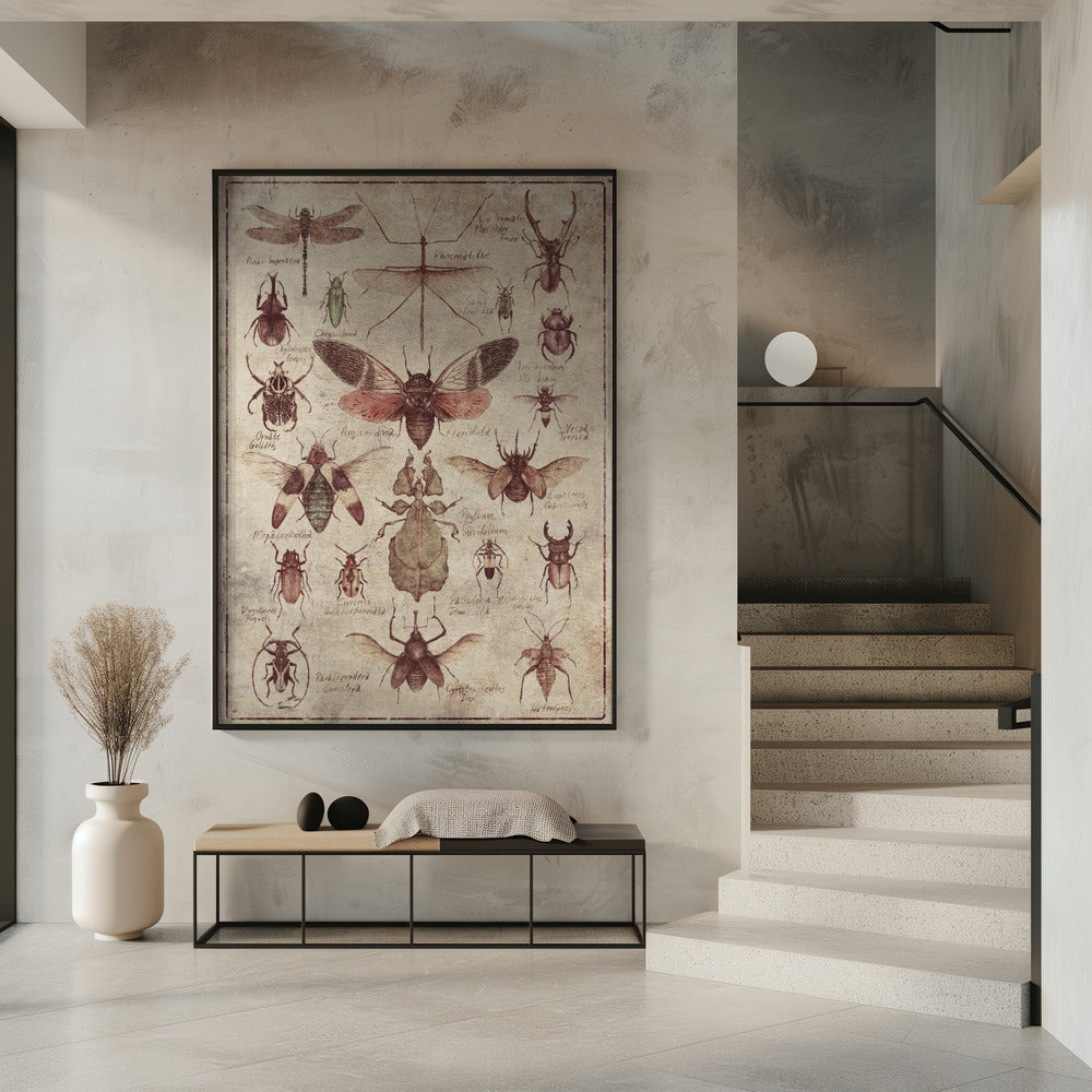 Vintage-stijl Insecten | Poster
