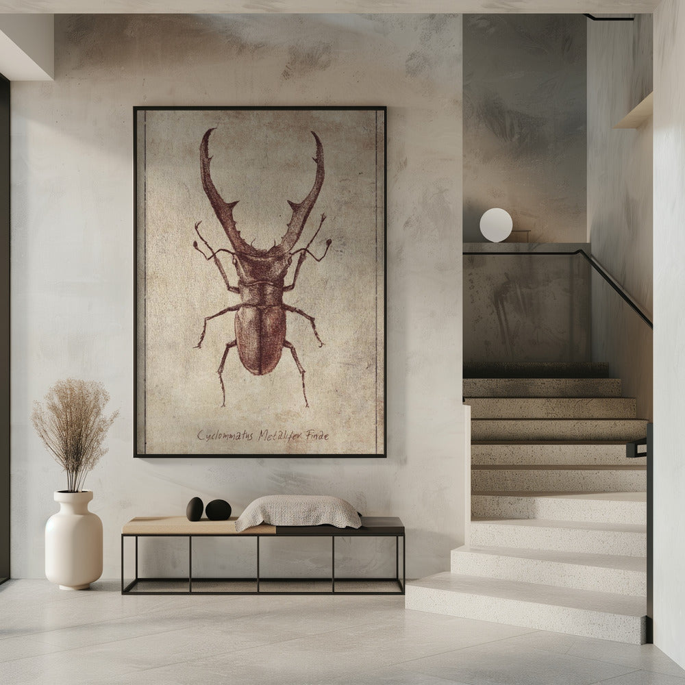 Antieke Kever Illustratie | Poster