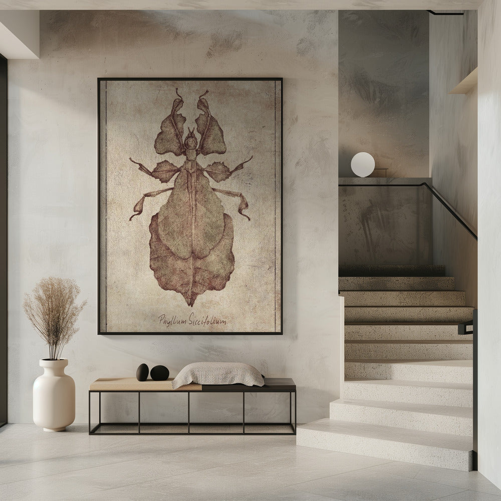 Phyllium Siccifolium Kopie | Poster