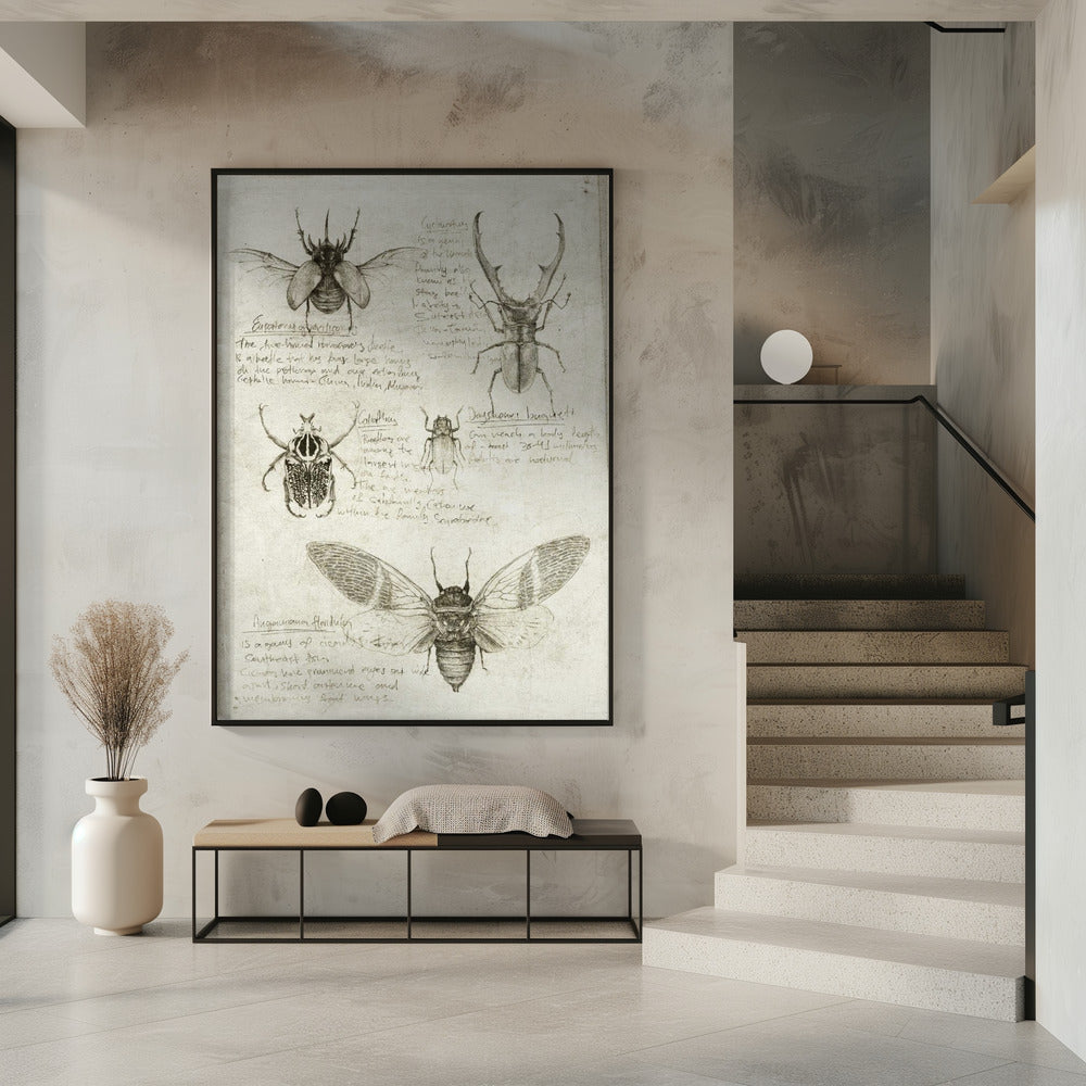Schetsen van kevers en insecten | Poster