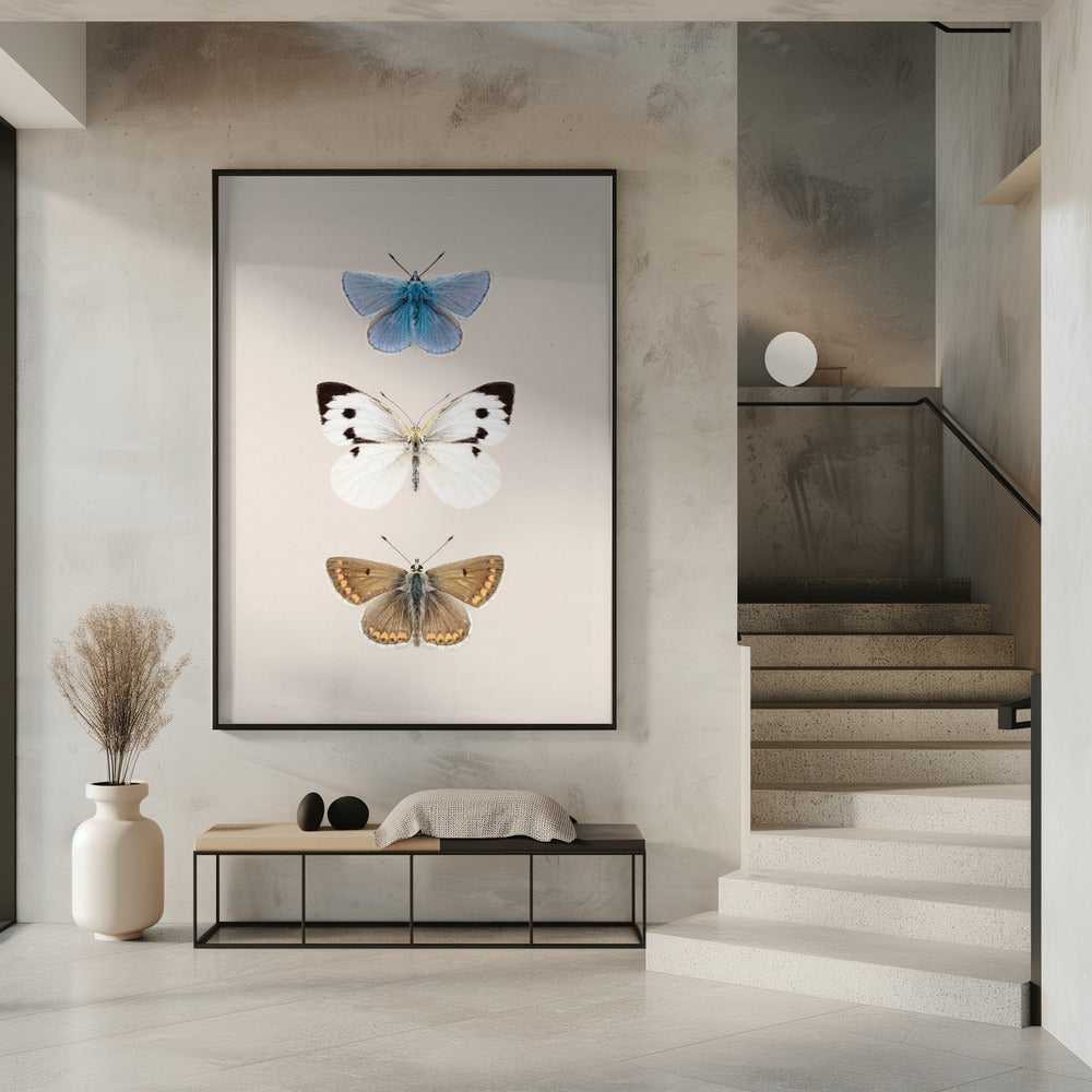 Engelse vlinders 2 | Poster