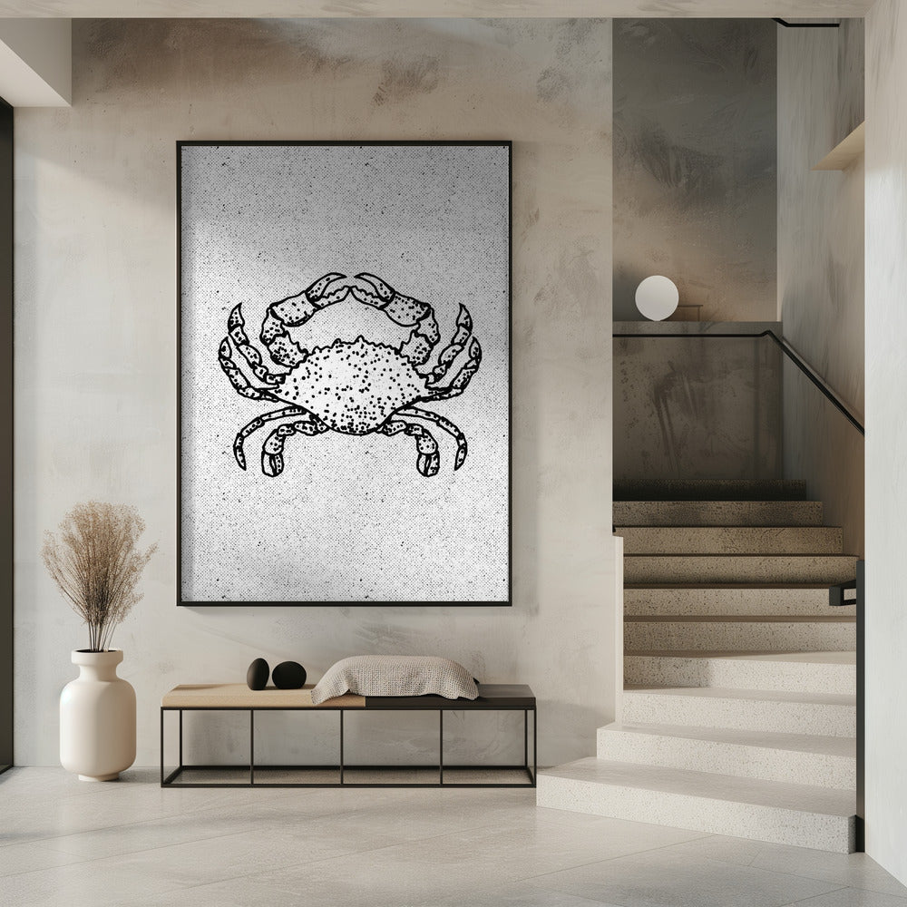 Zwart-witte krab | Poster