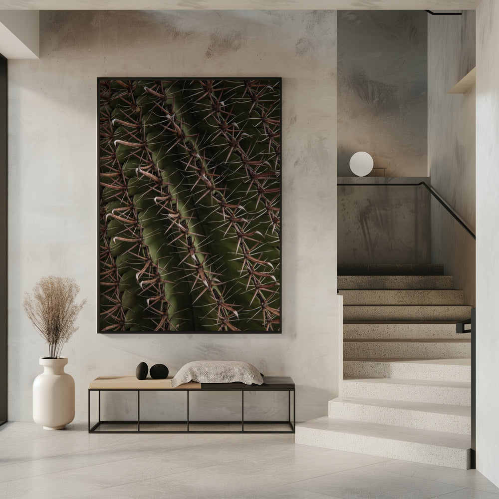 Cactus Showcases | Poster