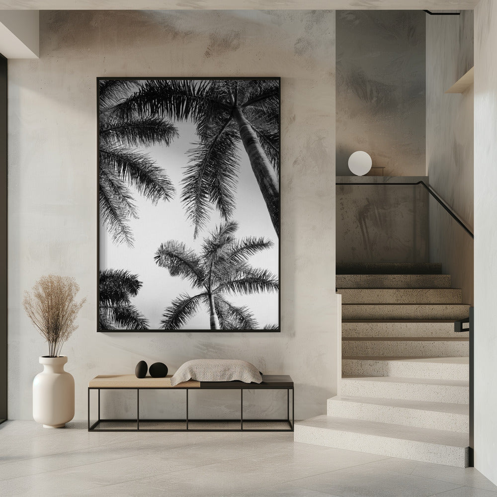 Zwart-witte palmboom | Poster