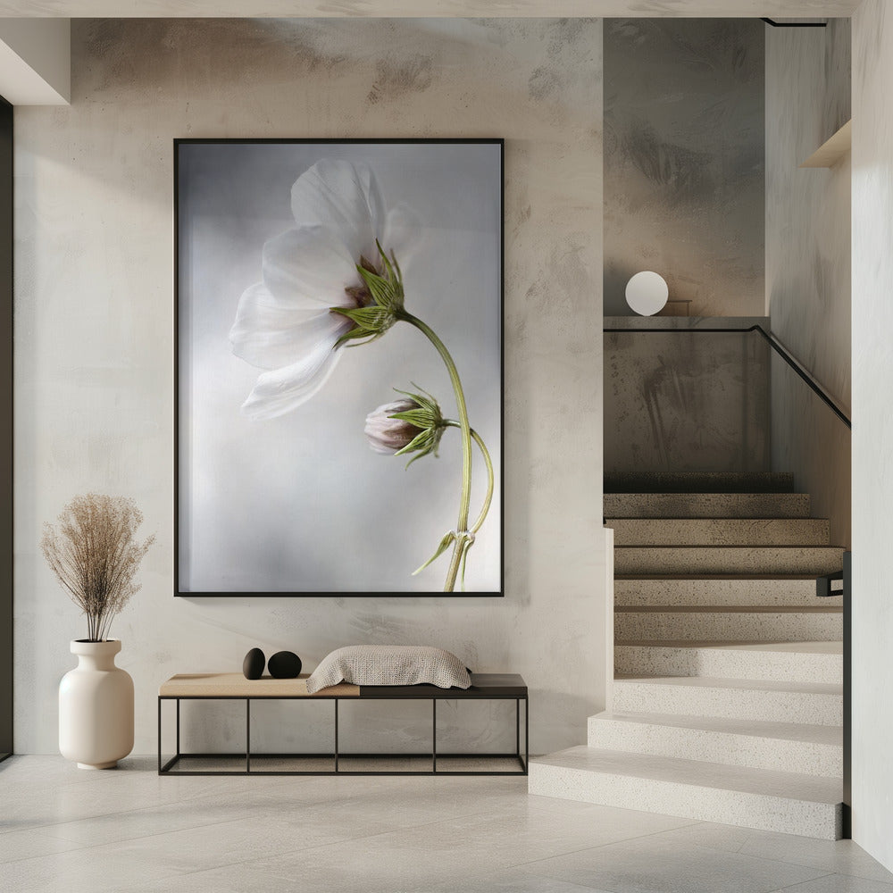 Hemelse Kosmos | Poster