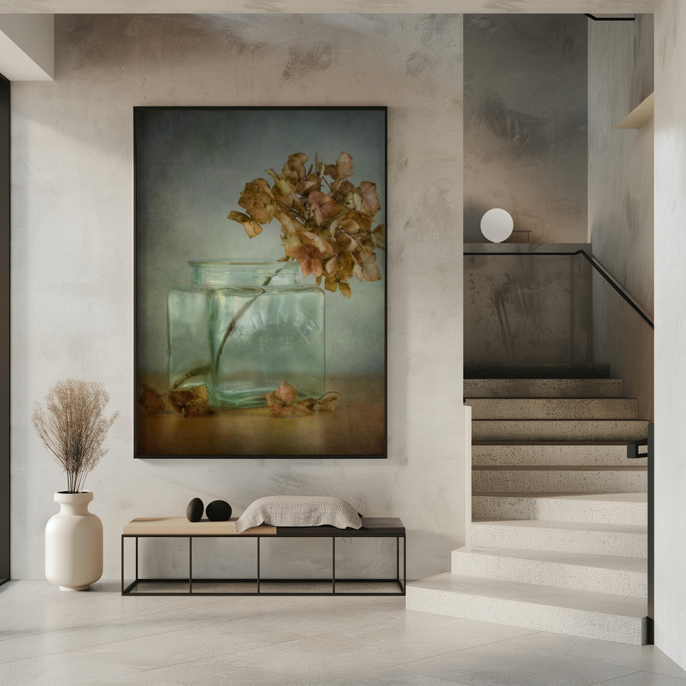 Hydrangea | Poster