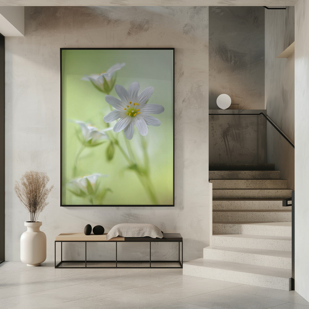 Lente schittering | Poster