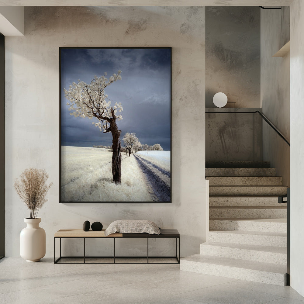 IRenka | Poster