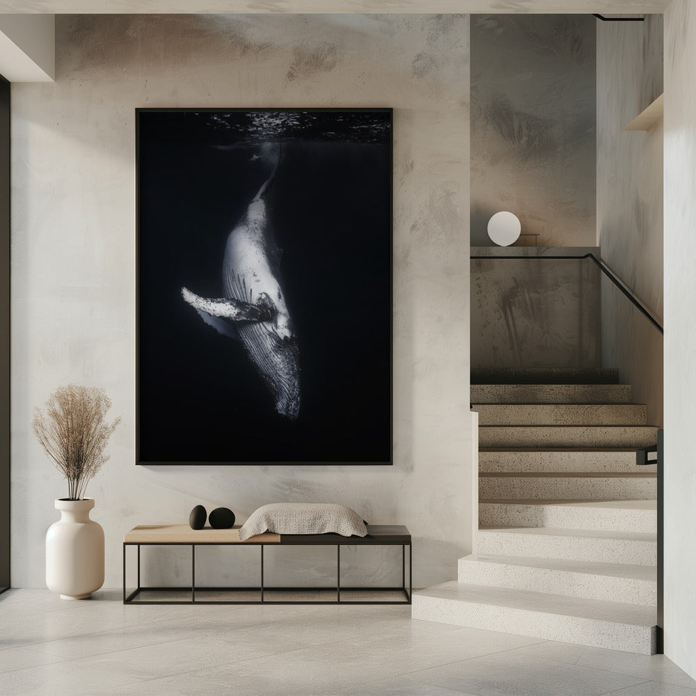 Zwarte Walvis | Poster