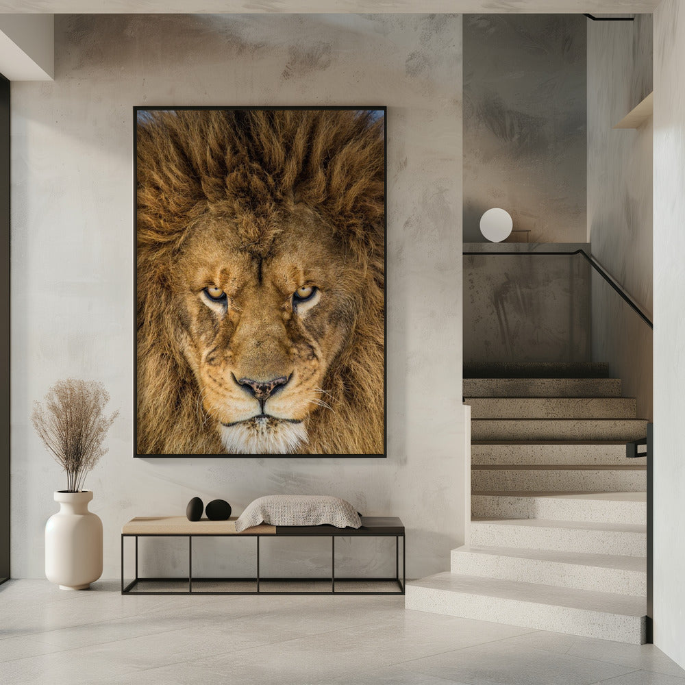 Serieuze Leeuw | Poster
