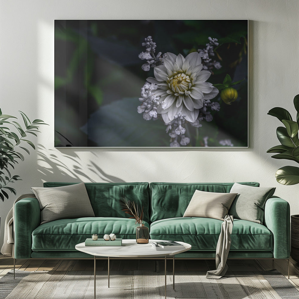 Dahlia bloem | Canvas