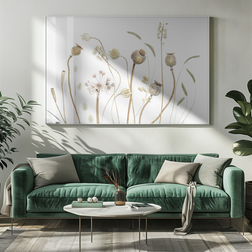 Pods | Canvas