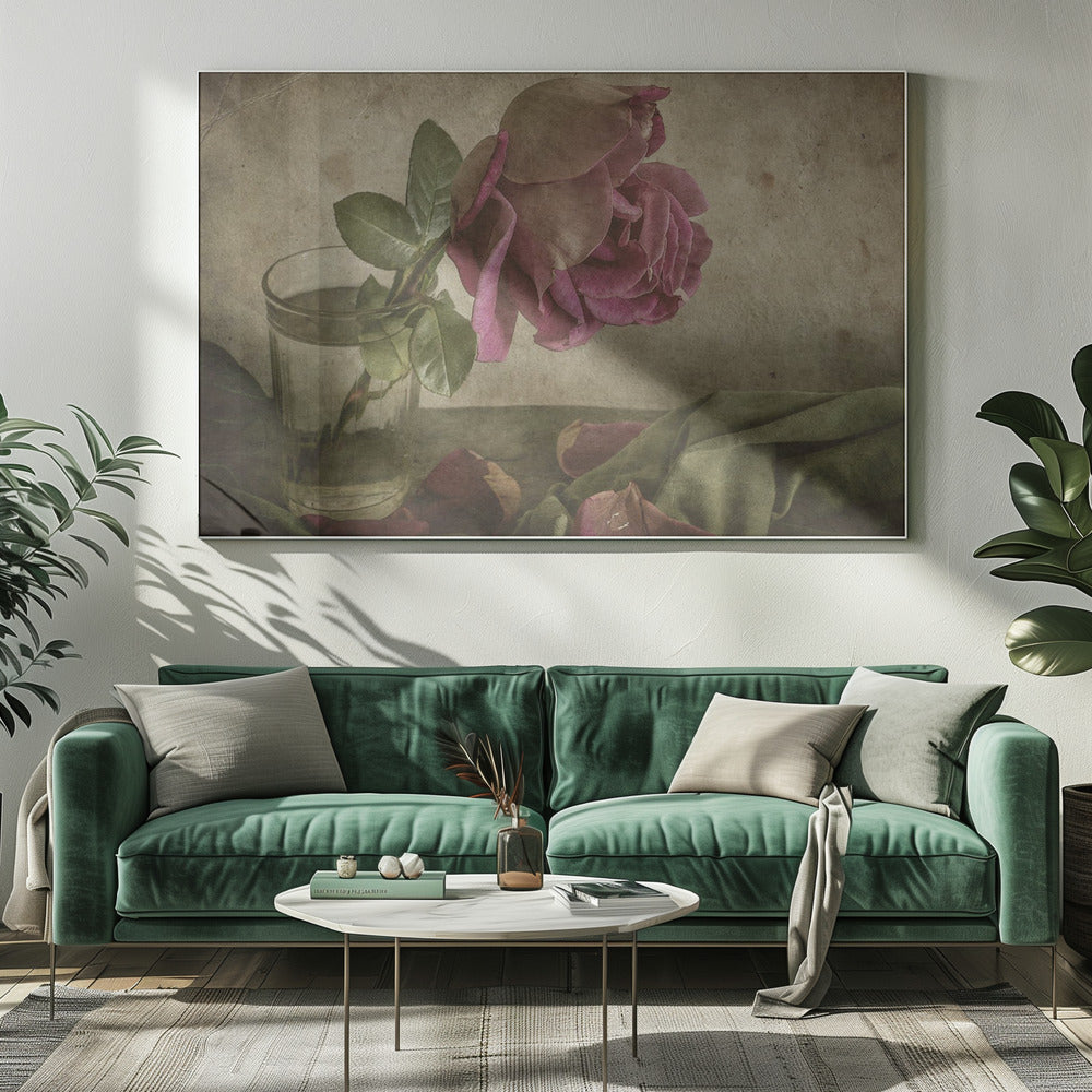 Traan van Roos | Canvas