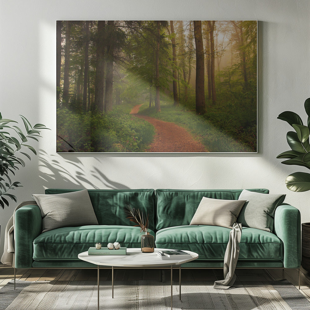 The Red Path. | Canvas