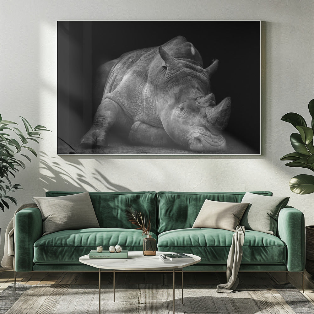 Verslagen | Canvas