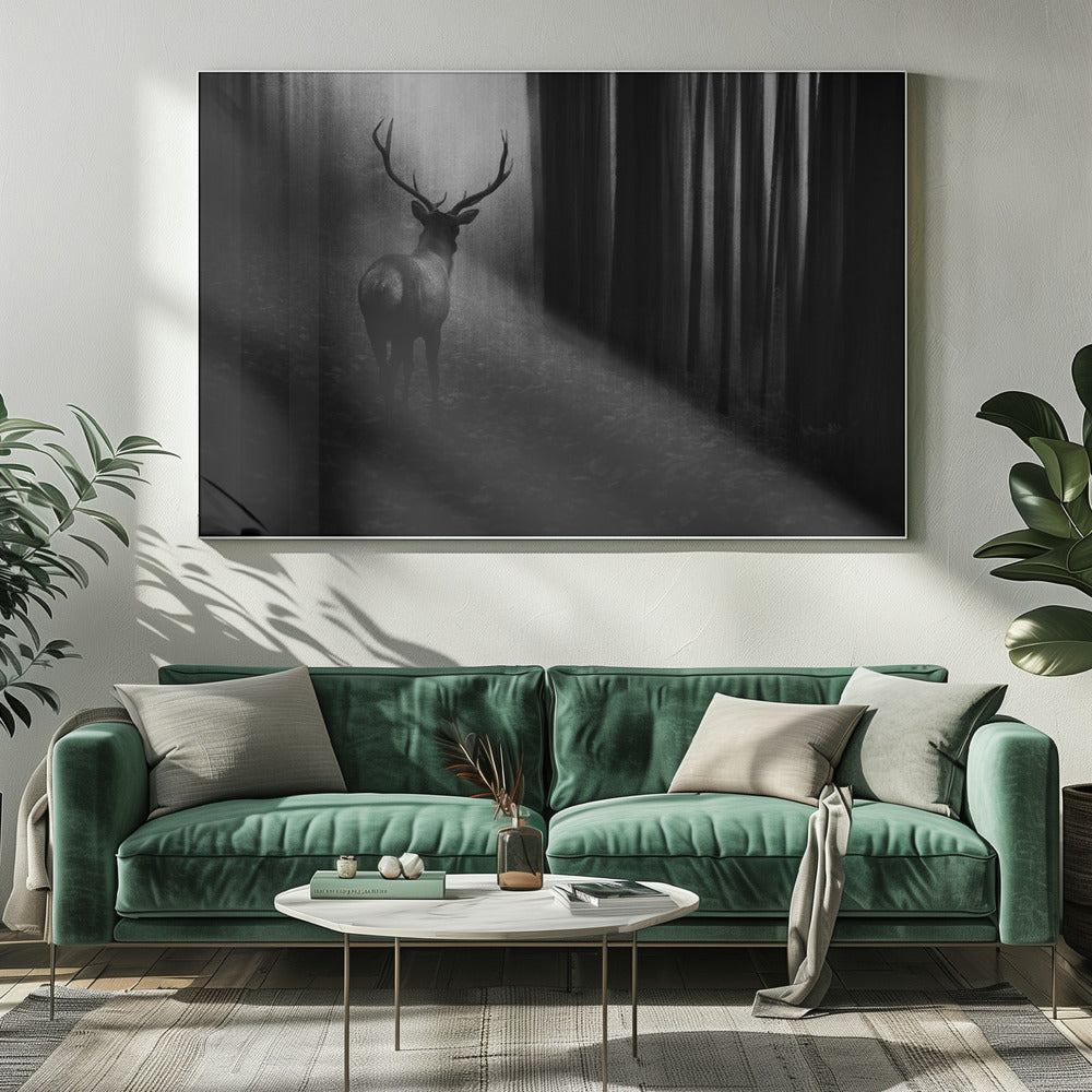 Hert | Canvas