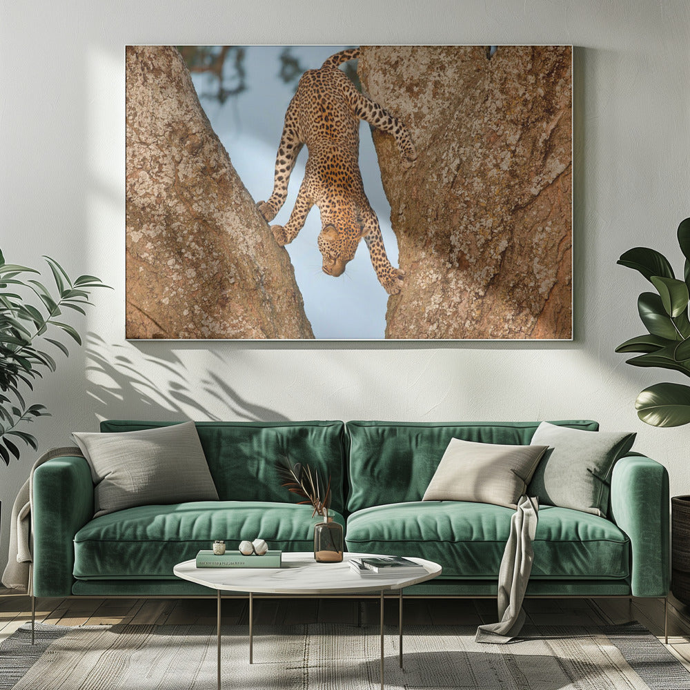 Ondersteboven | Canvas