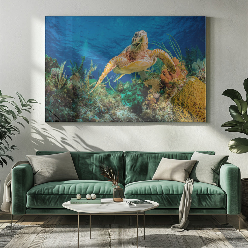 Hawksbill turtle swimming through Caribbean reef | Canvas