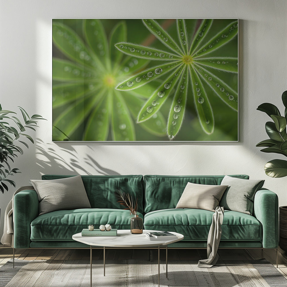 Parelwitte Lupine | Canvas