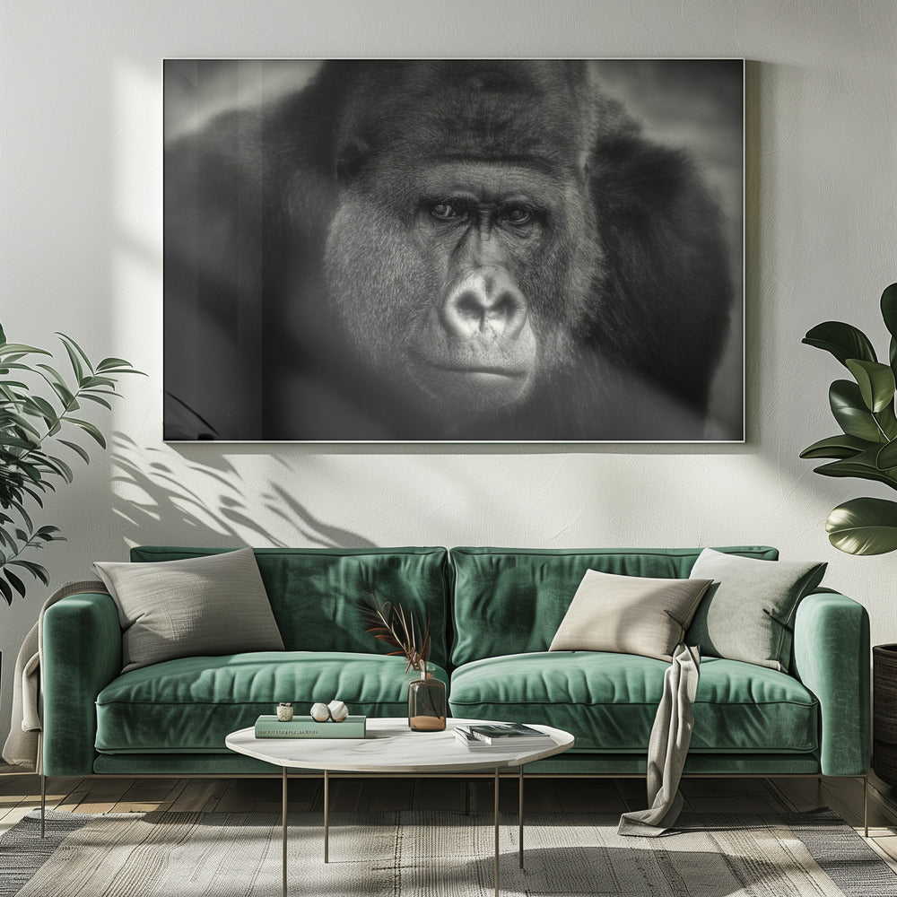 KLEINE GLIMLACH .... | Canvas