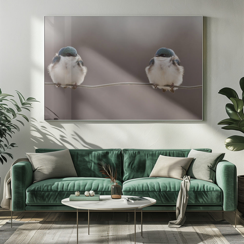 Vogels op een draad | Canvas