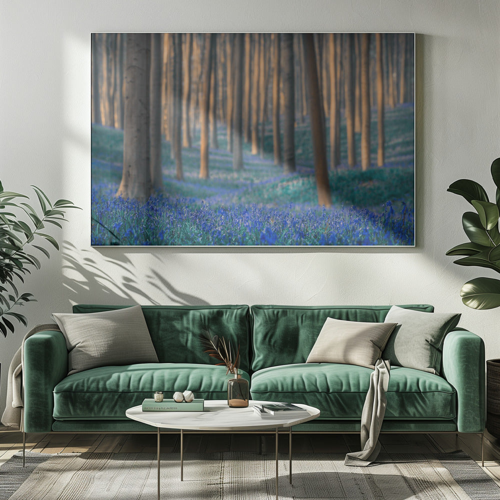 Dromen zijn hiervan gemaakt | Canvas