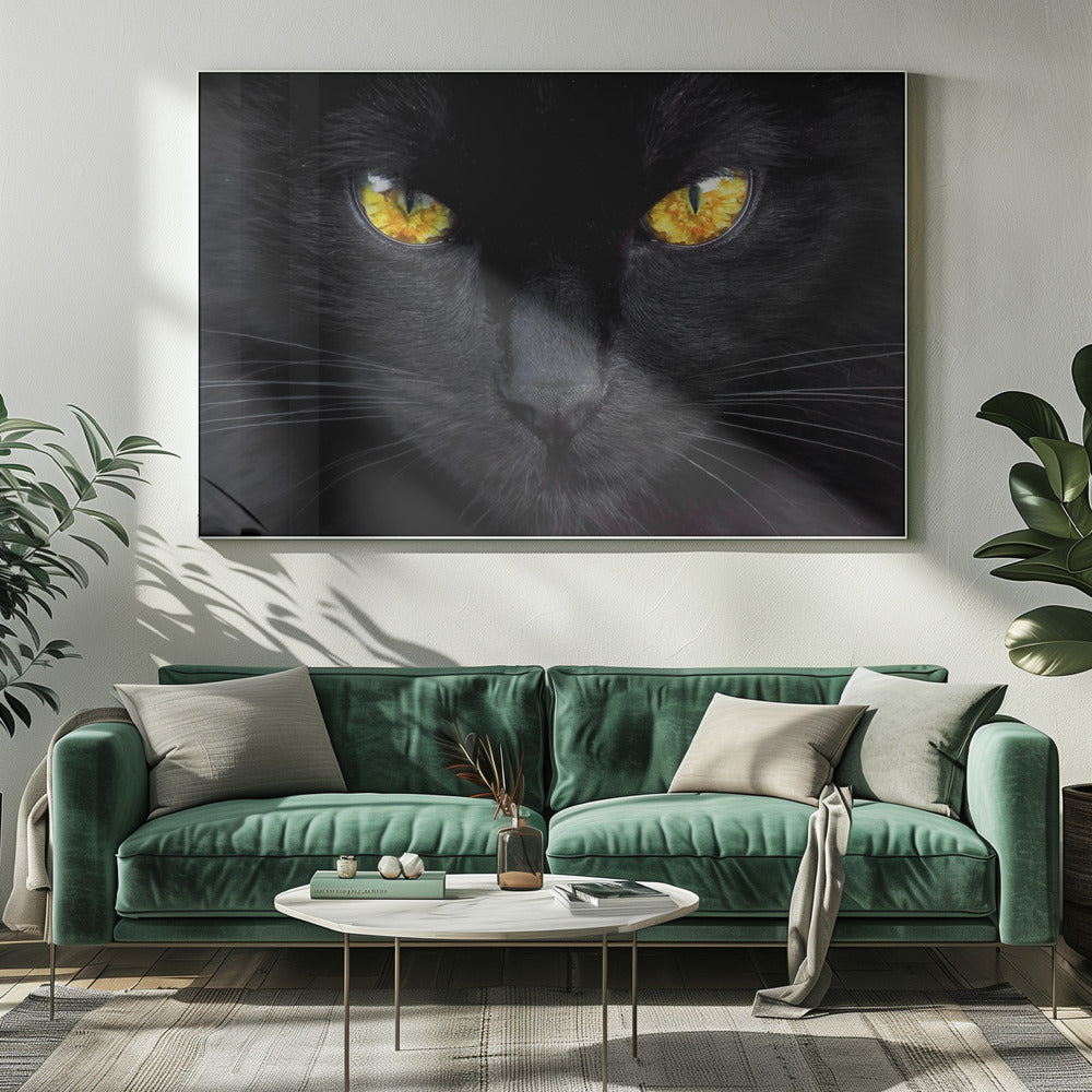 De hypnotiseur van de nacht | Canvas