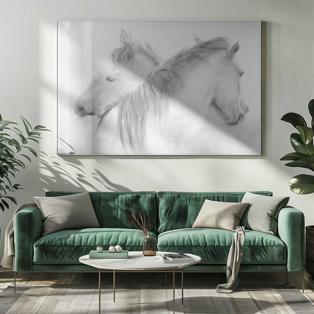 Paarden | Canvas